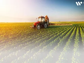 Was ist der Grund dafür, dass die Produktivität in der Landwirtschaft nicht gesteigert wird?